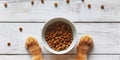 Bowl of dry kibble pet food between two furry striped paws of a cat. Top down view Royalty Free Stock Photo