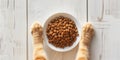 Bowl of dry kibble pet food between two furry striped paws of a cat. Top down view Royalty Free Stock Photo