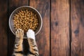Bowl of dry kibble pet food between two furry striped paws of a cat. Top down view Royalty Free Stock Photo