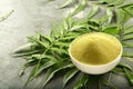 Organic neem leaves powder in ceramic bowl. Royalty Free Stock Photo