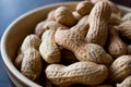 Bowl of Dry Salted Roasted Peanuts in Shell. Royalty Free Stock Photo