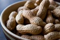 Bowl of Dry Salted Roasted Peanuts in Shell. Royalty Free Stock Photo