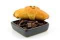 Bowl with Dutch chocolate flakes and croissant Royalty Free Stock Photo