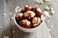 Brown Easter eggs dyed with onion skins with a pattern of fresh herbs Royalty Free Stock Photo