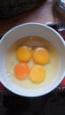 A bowl of eggs as a good source of omega 3