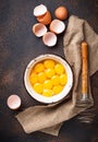 Bowl with eggs yolks and whisk