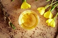 A bowl of evening primrose oil with evening primrose seeds and flowers Royalty Free Stock Photo