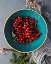 bowl filled with cranberry fruit Royalty Free Stock Photo