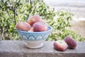 Bowl of flat peaches Royalty Free Stock Photo