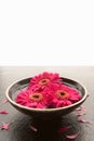 Bowl of flower heads on slate