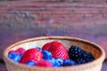 Bowl with forest fruits Royalty Free Stock Photo