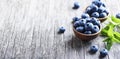 Bowl of fresh blueberries on blue rustic wooden table closeup Royalty Free Stock Photo