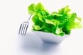 Bowl of fresh butter lettuce