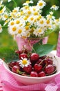 Bowl of fresh cherries