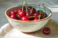 bowl of fresh cherries, with stems still attached