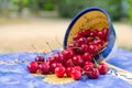 Bowl fresh cherries