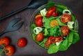 Bowl of fresh colorful salad Royalty Free Stock Photo