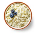 Bowl of fresh cottage cheese Royalty Free Stock Photo