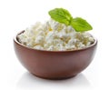 Bowl of fresh cottage cheese Royalty Free Stock Photo