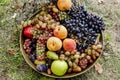 Bowl of fresh fruits, autumn mood Royalty Free Stock Photo