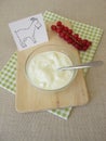 A bowl with fresh goat yogurt from goats milk