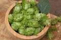 Bowl of fresh green hops on wooden table, closeup Royalty Free Stock Photo