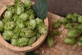 Bowl of fresh green hops on wooden table, closeup Royalty Free Stock Photo