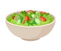 The Bowl With Fresh Green Vegetarian Salad Mix Vector Illustration Royalty Free Stock Photo