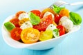 Bowl of a fresh and healthy Mediterranean salad Royalty Free Stock Photo