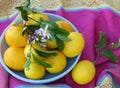 Bowl of fresh lemons on an elegant magenta, blue and yellow print tablecloth Royalty Free Stock Photo