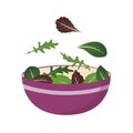 Bowl of fresh mix of salad leaves. Arugula, spinach and lettuce leaf. Vector illustration set in flat style. Royalty Free Stock Photo