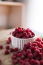 Bowl of Fresh Organic Raspberries