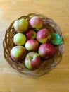 Bowl of fresh picked apples