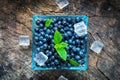 Bowl of fresh picked blueberries Royalty Free Stock Photo