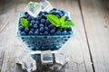 Bowl of fresh picked blueberries Royalty Free Stock Photo