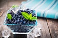 Bowl of fresh picked blueberries Royalty Free Stock Photo