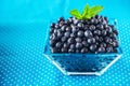 Bowl of fresh picked blueberries Royalty Free Stock Photo