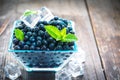 Bowl of fresh picked blueberries Royalty Free Stock Photo
