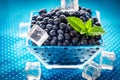 Bowl of fresh picked blueberries Royalty Free Stock Photo