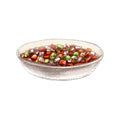 Bowl with fresh pico de gallo. Vector vintage hatching color illustration