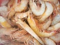 A bowl of fresh raw pacific white shrimp with tail on Royalty Free Stock Photo