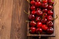 Bowl with fresh red Cherries. Royalty Free Stock Photo