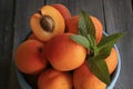 Fresh ripe apricots. Royalty Free Stock Photo