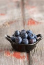 Bowl of fresh ripe autumn blueberries