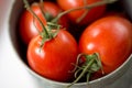 Bowl of Fresh Ripe Roma Tomatoes Royalty Free Stock Photo