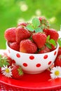Bowl of fresh strawberries Royalty Free Stock Photo