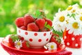 Bowl of fresh strawberries Royalty Free Stock Photo