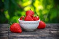 Bowl of fresh strawberries on wooden table in summer garden Royalty Free Stock Photo