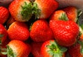 Bowl of fresh sustainable big red strawberries in sunlight