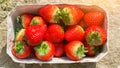 Bowl of fresh sustainable big red strawberries in sunlight